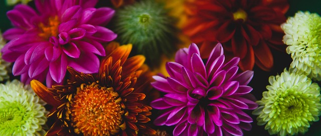 球员时期索尔斯克亚是什么水平，在曼联地位高不高？