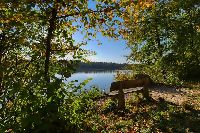 徐尚：与邵佳一的合作非常愉快，中超收官战将由德国助教来带