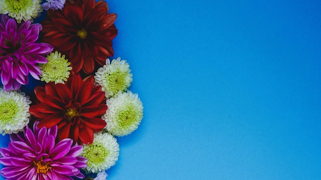 雄鹿猛攻内线拿下硬仗